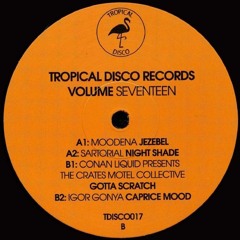 PREMIERE: Igor Gonya - Caprice Mood [Tropical Disco Records]