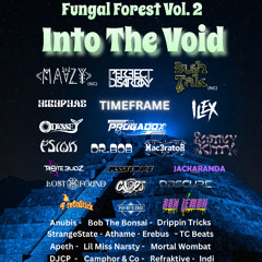 Into The Void 2025