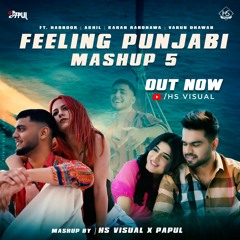 Feeling Punjabi Mashup 5 | (2022) HS Visual x Papul | Harnoor Mashup