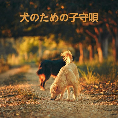 気になる犬の音楽療法 By Rw 眠っている子犬 気になる犬の音楽療法 By Rw 眠っている子犬