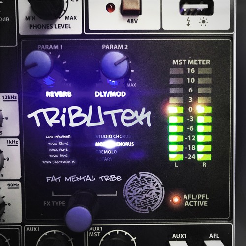 FAT MENTAL TRIBE (LIVE ft. TRIBUTEK)