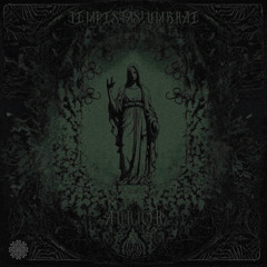 Saltatio Umbrarum 170 bpm