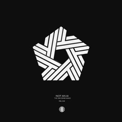 The Second Wave - Not An AI (Original Mix) 160Kbps