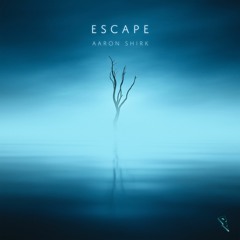 Aaron Shirk - Escape