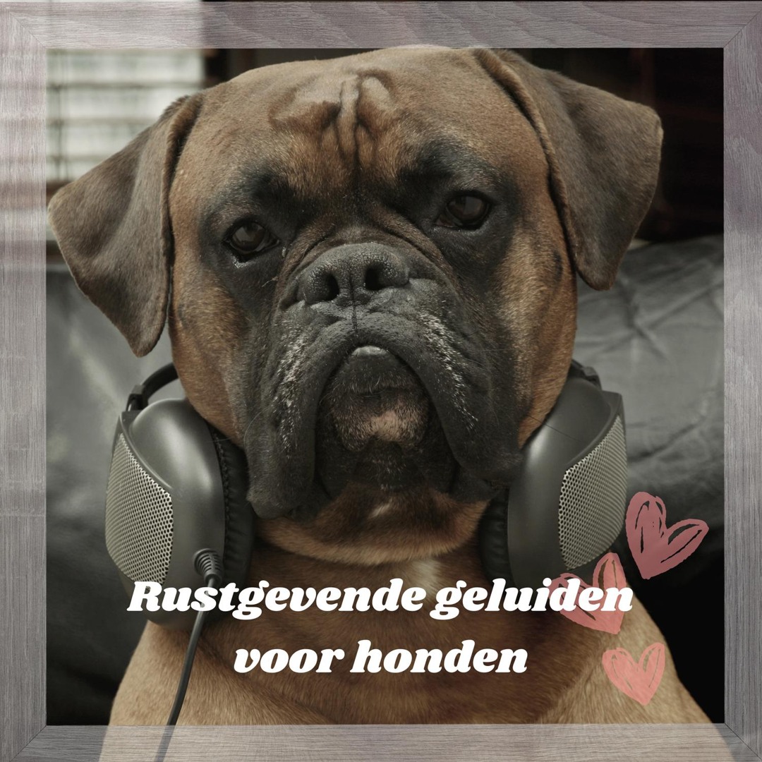 Eendenspeelgoed voor honden, rustgevende eend voor honden, interactief