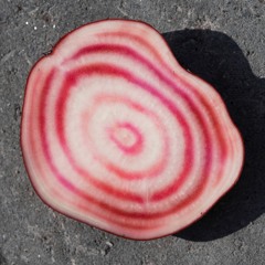 IGGY POP at BBC Radio 6  🟢 The Confidential Show @ bbc6music