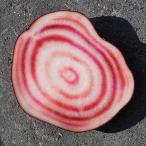 IGGY POP at BBC Radio 6  🟢 The Confidential Show @ bbc6music