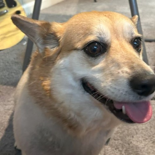 Listen to music albums featuring MICROBOTS REMIX REMASTERED by jews ...