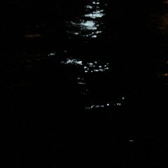 TWINKLE