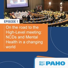 On the road to the High-Level meeting: NCDs and Mental Health in a changing world