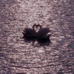 crrusin pinksky (prod. julez x jnsehr)