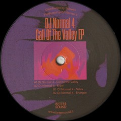DJ Normal 4 - Call Of The Valley EP (BS09)