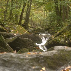 Brendan Mitchell - Atlas