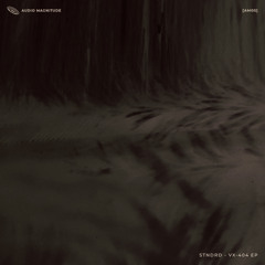 STNDRD - VX-404 - [AM05] Previews