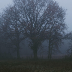 La fraternité de l'anneau - Tolkien mixtape 1/4