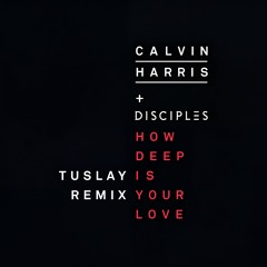 Calvin Harris - How Deep Is Your Love (Tuslay Remix)
