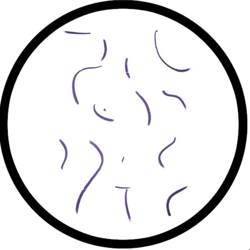 Stream Ashnikko Stupid Boy Think That I Need Him Callum Pugh Edit