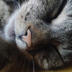 ATOM liveset 2 Het Generatiepact 28 juni 2024 Brebl, Nijmegen