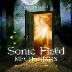 Sonic Field Mechanisms 1