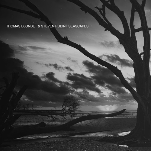 Premiere: Thomas Blondet & Steven Rubin - Seascapes [Rhythm & Culture Music]