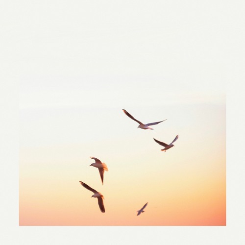 A.L.I.S.O.N & Krosia - Seagulls