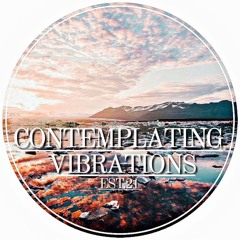 Contemplating Vibrations [#09] Paranoid SouL