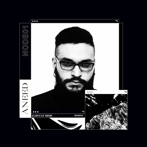 NODE01 - Aneed