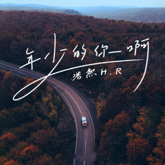 年少的你啊 (Dj沈念版)