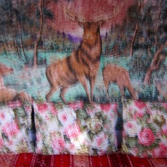 Tales of a Bear: «The squirrel that made a forest disappear» [EXCERPT 1]