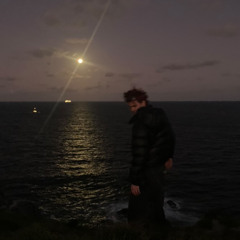 VENICE BITCH (lana Del Rey Cover)