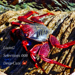 Selections 008 - Deep Cuts