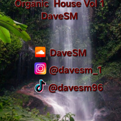 Vol 1 Organic House 17.11.2024 DaveSM
