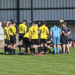 my little white pony remix