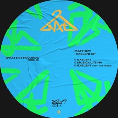 Matthew - Exelent (Snippet) [What NxT]
