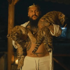 Dani Mocanu  🐅 Tigrul tau