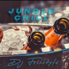DJ Friistyle_Jungle Chill.mp3