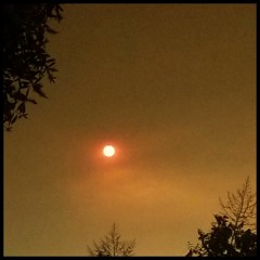 Burning Skies