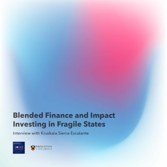 Blended Finance and Impact Investing in Fragile States