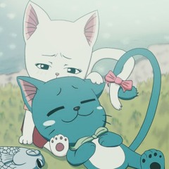 kitty kat