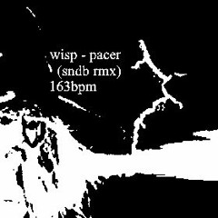 wisp, ransom - pacer (nocturnnne remix)