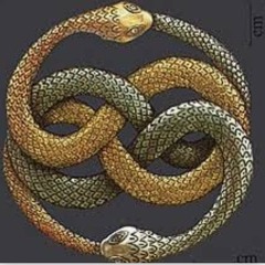 Snakes intertwined