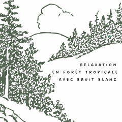 Sérénité au Bord de la Rivière avec Bruit Blanc (Séquence en Boucle)