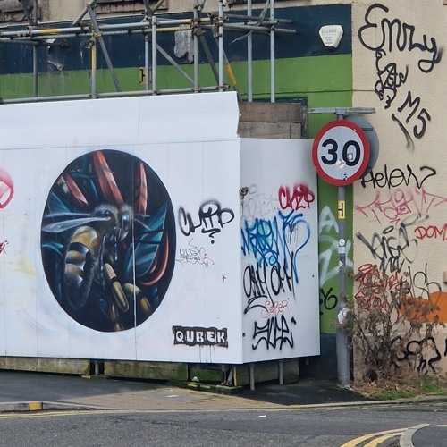 RUDEBOY SCIENCE - CEEKAY