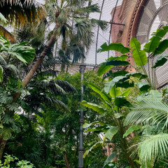 Umbraculo del Parque de la Ciudadela