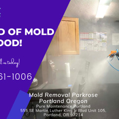 Mold Removal Parkrose Portland Oregon - Pure Maintenance Portland - 503-461-1006