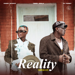 Reality (Sped Up) [feat. Terry Apala & DJ Tainny]