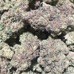 the need for your love.mp3