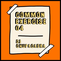 Common Exercise 04 - DJ Chupacabra