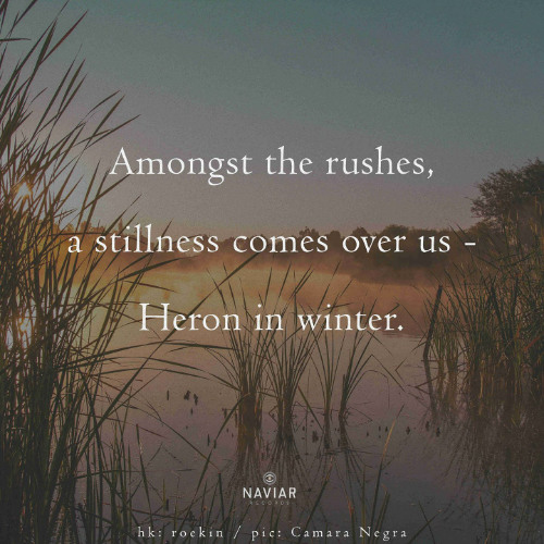 All Over The Place (naviarhaiku576)