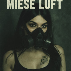 MIESE LUFT